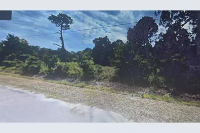 1450 S Olsen Road, Avon Park, FL 33825 - Photo 6