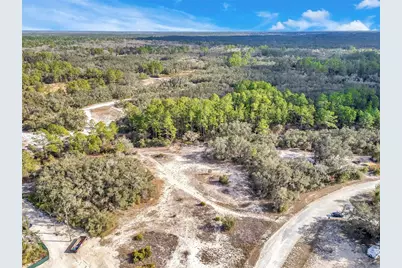 Goodstone Drive, Webster, FL 33597 - Photo 10