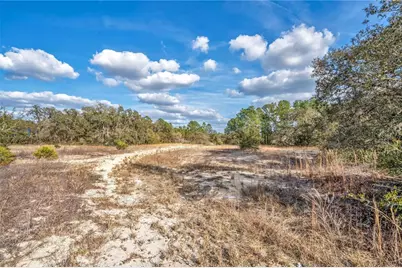 Goodstone Drive, Webster, FL 33597 - Photo 6