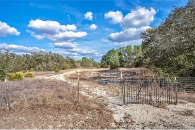 Goodstone Drive, Webster, FL 33597 - Photo 4