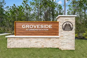 17 Honeybell Wy, Ormond Beach, FL 32174 - Photo 16