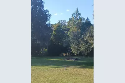 10360 W County Road 18, Lake Butler, FL 32054 - Photo 14