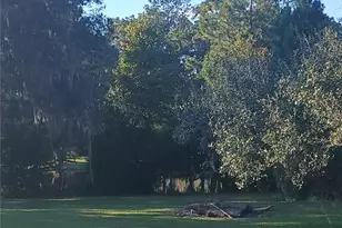 10360 W County Road 18, Lake Butler, FL 32054 - Photo 14