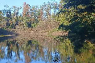 10360 W County Road 18, Lake Butler, FL 32054 - Photo 12