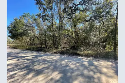 10570 246th Trace, O'Brien, FL 32071 - Photo 8