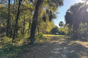 17221 SE 95th Street Rd, Ocklawaha, FL 32179 - Photo 1