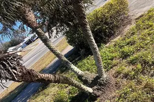 1824 N Hiawassee Rd, Orlando, FL 32818 - Photo 48