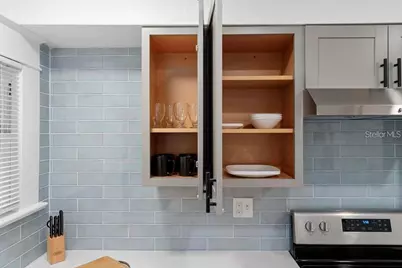 412 E Harwood Street, Orlando, FL 32803 - Photo 50