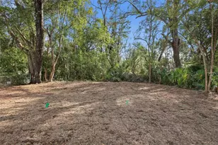 24534 Paul St, Sorrento, FL 32776 - Photo 28