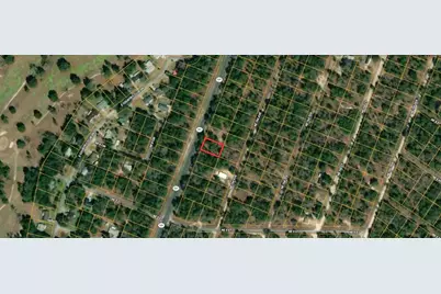 Tbd NE State Road 121, Williston, FL 32696 - Photo 4
