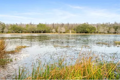 10235 Cala Lily Trail #35A, Orlando, FL 32832 - Photo 28