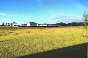 3144 Canopy Oak Blvd, Wildwood, FL 34785 - Photo 34