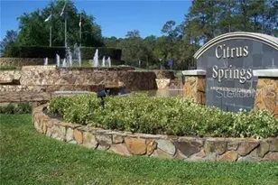 2394 W Alton St, Citrus Springs, FL 34434 - Photo 48