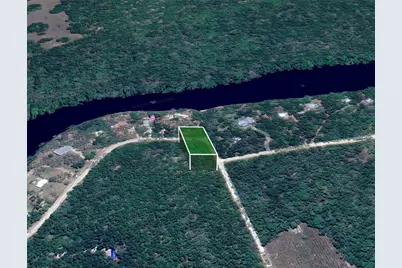 Ne Trestle Dr, Mayo, FL 32066 - Photo 8