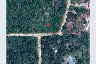 Ne Trestle Dr, Mayo, FL 32066 - Photo 1