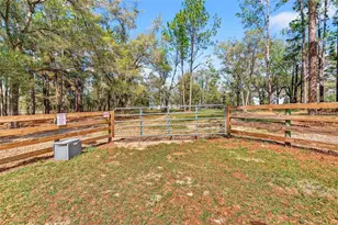 10427 NW 8th Ln, Ocala, FL 34482 - Photo 4