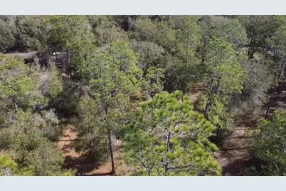 Bonsmara Drive, Leesburg, FL 34748 - Photo 10