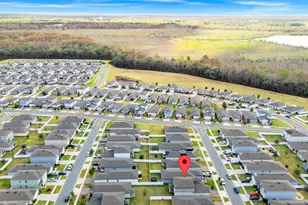 3817 Shoveler Ave, Leesburg, FL 34748 - Photo 46