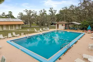 1960 Pinewood Ln, Mount Dora, FL 32757 - Photo 10