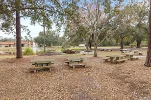 1960 Pinewood Ln, Mount Dora, FL 32757 - Photo 12