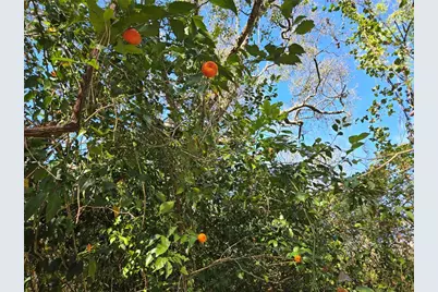 000 Magnolia Creek Lane, Montverde, FL 34756 - Photo 4