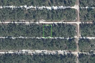 613 Parakeet Ave, Sebring, FL 33872 - Photo 1