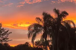 25620 Grandview Pointe, Sorrento, FL 32776 - Photo 40