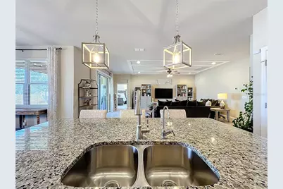 4282 Tigris Drive, Apopka, FL 32712 - Photo 48