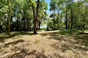 Vista St, Lake Helen, FL 32744 - Photo 14