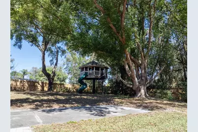 1625 Down Lake Drive, Windermere, FL 34786 - Photo 58