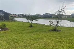 32583 Tree of Life Ave, Wesley Chapel, FL 33543 - Photo 8