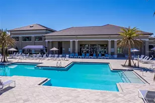 32583 Tree of Life Ave, Wesley Chapel, FL 33543 - Photo 42