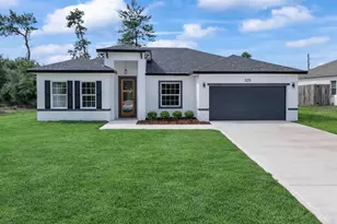 3211 SW 128th Street Rd, Ocala, FL 34473 - Photo 1