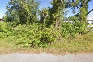 2901 NW 19th St, Cape Coral, FL 33993 - Photo 1