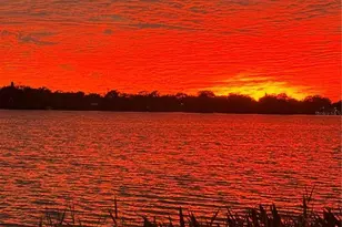 1500 Gay Rd, Winter Park, FL 32789 - Photo 4