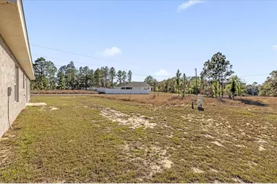 162 Malauka Run, Ocklawaha, FL 32179 - Photo 22