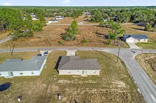 162 Malauka Run, Ocklawaha, FL 32179 - Photo 24