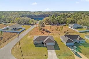 162 Malauka Run, Ocklawaha, FL 32179 - Photo 28