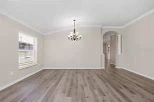 18933 New Passage Blvd, Land O Lakes, FL 34638 - Photo 10