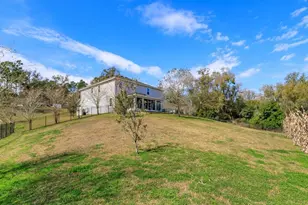 30339 Plymouth Creek Cir, Sorrento, FL 32776 - Photo 48