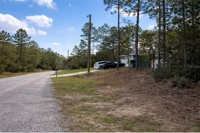 602 E Nemo Drive, Dunnellon, FL 34434 - Photo 2