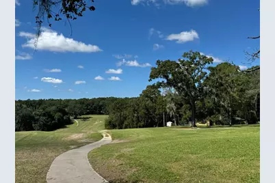 602 E Nemo Drive, Dunnellon, FL 34434 - Photo 8