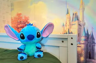 7487 Oakmoss Loop, Davenport, FL 33837 - Photo 50