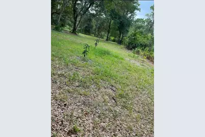 1301 Arapaho Trail, Geneva, FL 32732 - Photo 4