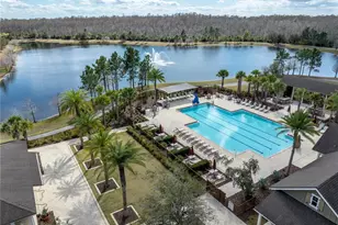 10542 Langefield St, Orlando, FL 32832 - Photo 4