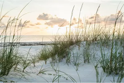 1817 Highway 98, Mexico Beach, FL 32456 - Photo 18