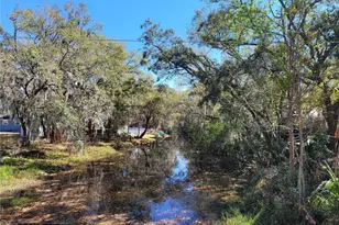 6606 Sawyer Shores Ln, Windermere, FL 34786 - Photo 20