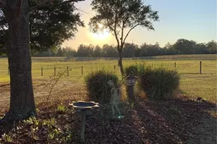 7650 NE 40th St, High Springs, FL 32643 - Photo 64