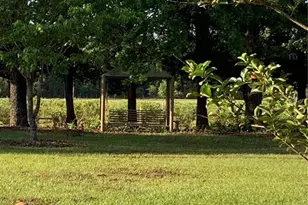 7650 NE 40th St, High Springs, FL 32643 - Photo 70