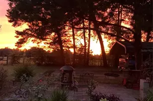 7650 NE 40th St, High Springs, FL 32643 - Photo 56